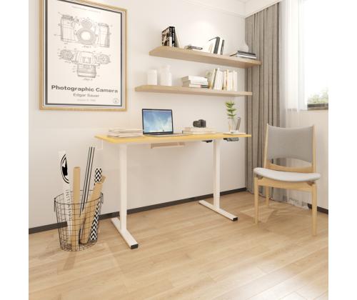 Säädettävä pöytä ERGO 1 moottorilla 120x60xH73-121cm, valkoinen/tammi