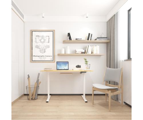 Säädettävä pöytä ERGO 1 moottorilla 120x60xH73-121cm, valkoinen/tammi