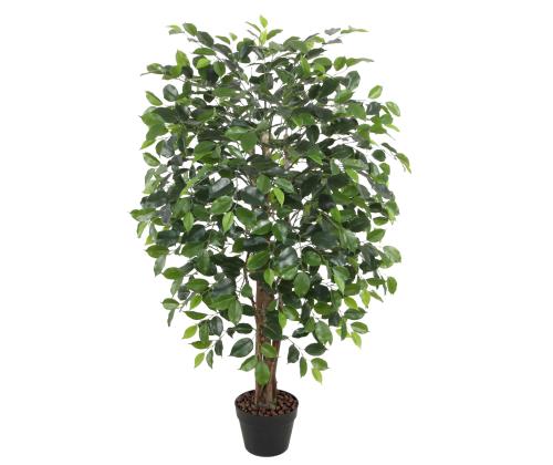 Tekopuu FICUS, H120cm, 1 runko, musta ruukku