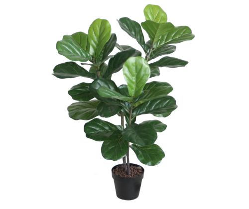 Tekopuu FIDDLE LEAF, H100cm, 2 vartta, musta ruukku