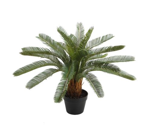 Keinotekoinen kasvi CYCAS, K70cm, palmunlehti, musta ruukku