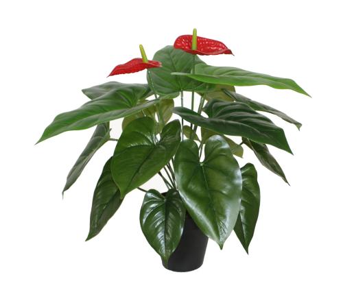 Keinotekoinen kasvi ANTHURIUM, K45cm, flamingokukka, musta ruukku