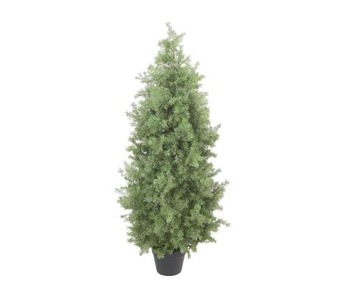 Tekopuu WIND CYPRESS H120cm
