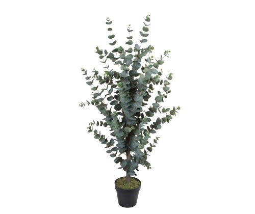 Tekopuu WIND EUCALYPTUS H120cm