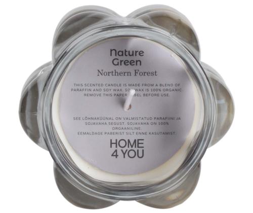 Tuoksukynttilä lasissa NATURE GREEN K9,2cm, Northern Forest