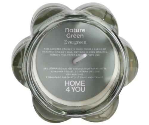 Tuoksukynttilä lasissa NATURE GREEN K9,2cm, Evergreen