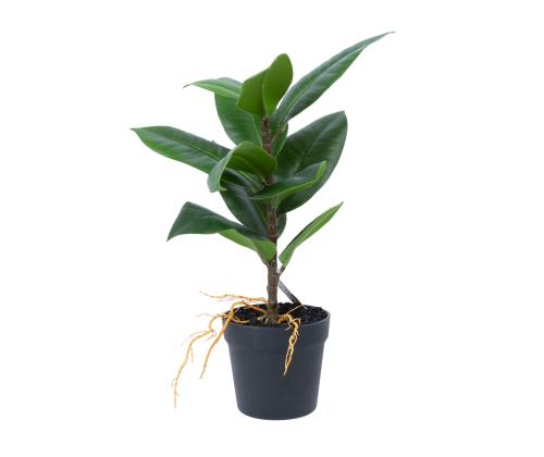 Keinotekoinen kasvi GREENLAND H35cm, "Kumiviikuna"