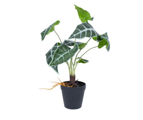 Keinotekoinen taimi GREENLAND H40cm, "Alocasia"