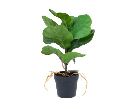 Keinotekoinen taimi GREENLAND H35cm, "Clusia rosea";