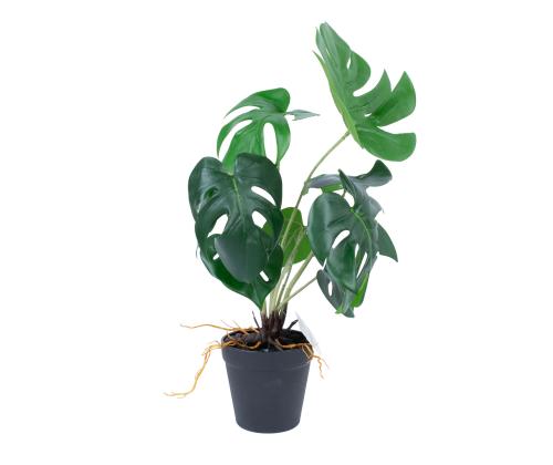 Tekokasvi GREENLAND H40cm, "Monstera"