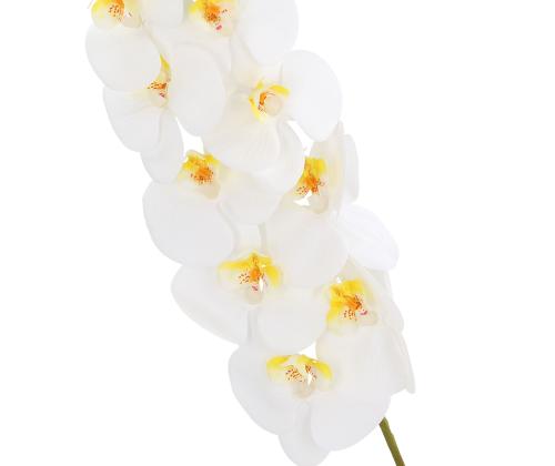 Orkidea IN GARDEN H92cm, valkoinen phalaenopsis