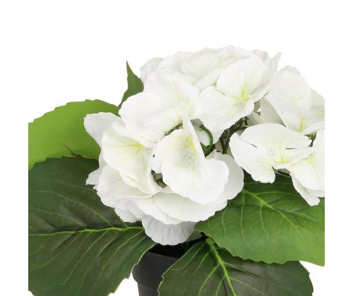 Tekokukka IN GARDEN H18cm, valkoinen hortensia ruukussa