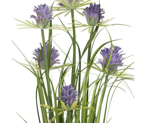 Tekokukka Puutarhassa H70cm, violetti krysanteemi, heinäsirkat ruukussa