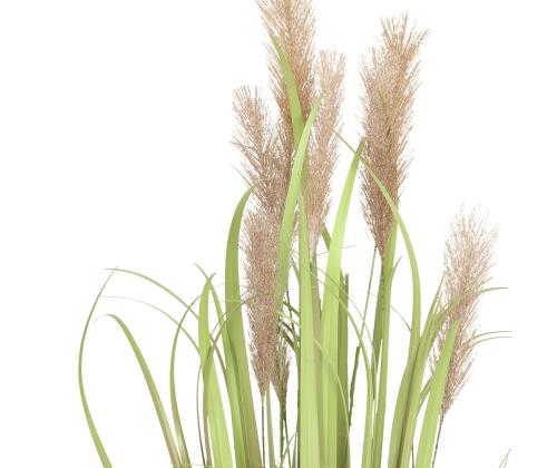 Tekokasvi IN GARDEN H70cm, tummanruskeat ruohonkorvat ruukussa