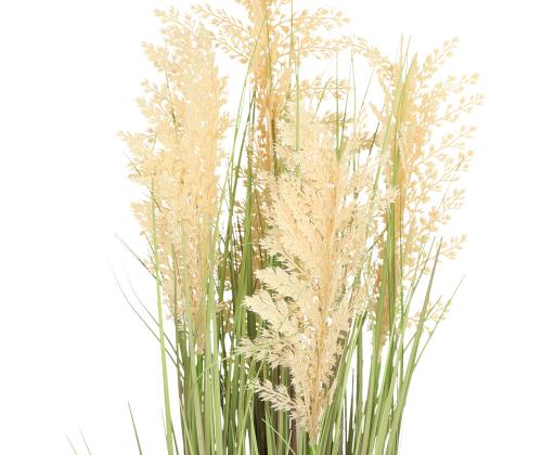 Keinotekoinen kasvi IN GARDEN H87cm, beige durra, ruohonkorvat ruukussa