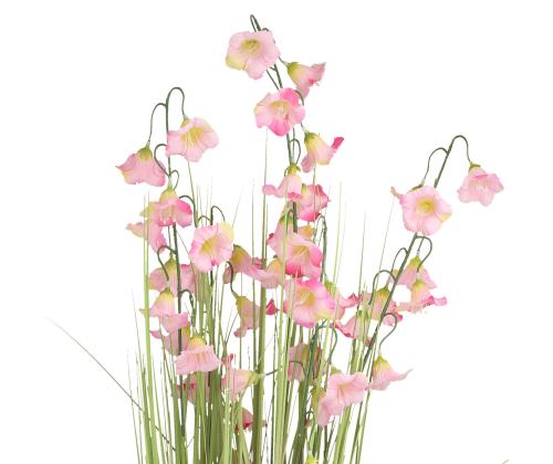 Tekokukka Puutarhassa H87cm, violetti kellokukka, ruohonkorvat ruukussa