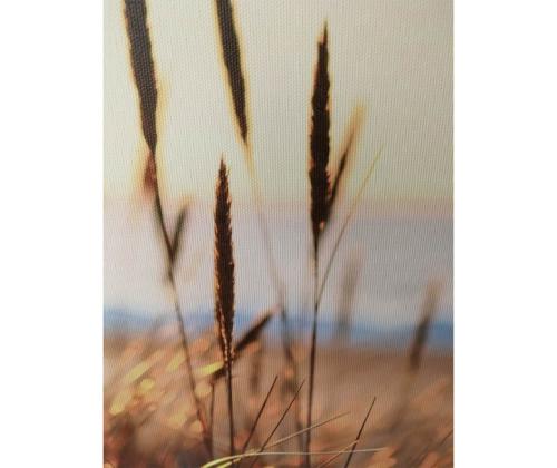 Seinäkuva WALLY 30x90cm, aavikot