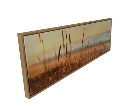 Seinäkuva WALLY 30x90cm, aavikot