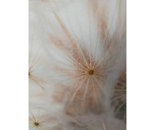 Seinäkuva WALLY 45x60cm, koiranputki, voikukka