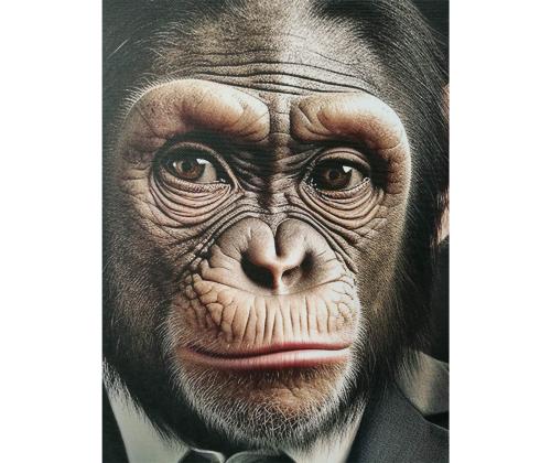 Seinäkuva WALLY 50x70cm, Herra Apina