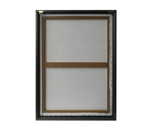 Seinäkuva WALLY 50x70cm, leijona