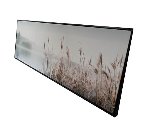 Seinäkuva WALLY 50x140cm, järvi ja aavikot
