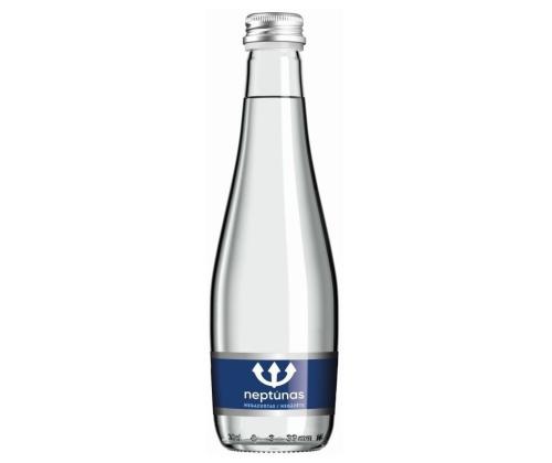 Kivennäisvesi NEPTUNAS 0.33L (hiilihapoton, lasi)