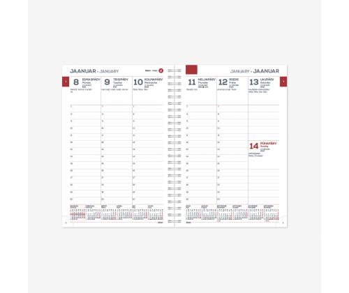 Calendarisu MINISTERI SpirEx Viikko V 2912732000
