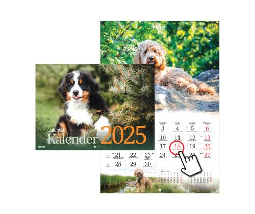 Ankkakalenteri Koera-kalenteri 2911601000