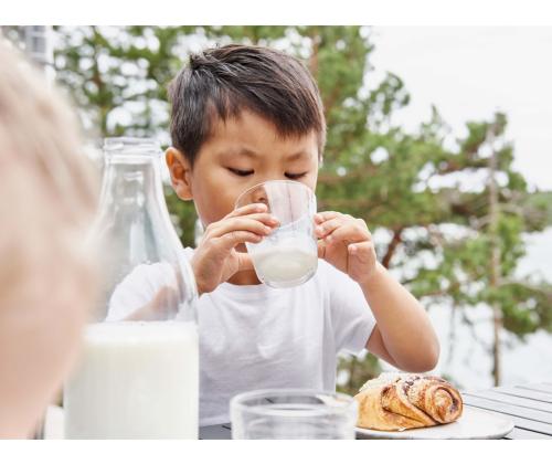 Maito VALIO Eila laktoositon 1,5% 1L