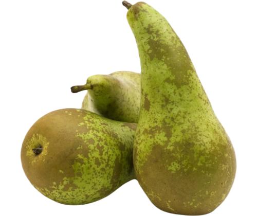 PolttimoKONFERENSSI 5kg