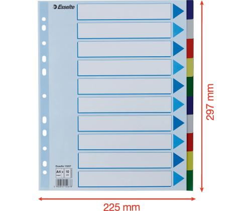 Rekisterikielekkeet ESSELTE Maxi A4+ 10 väriä muovia