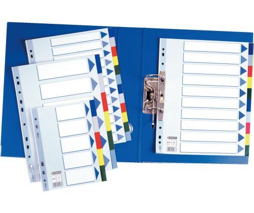 Rekisterikielekkeet ESSELTE Maxi A4+ 10 väriä muovia