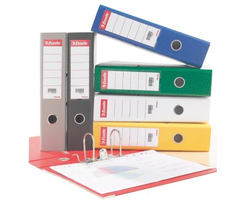 Seljaetikett regisraatorile ESSELTE A4/75mm 100tk