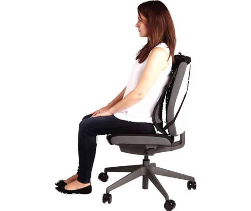 Selkätuki ergonominen Felloes Office