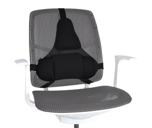 Selkätuki ergonominen Felloes Pro Ultimate