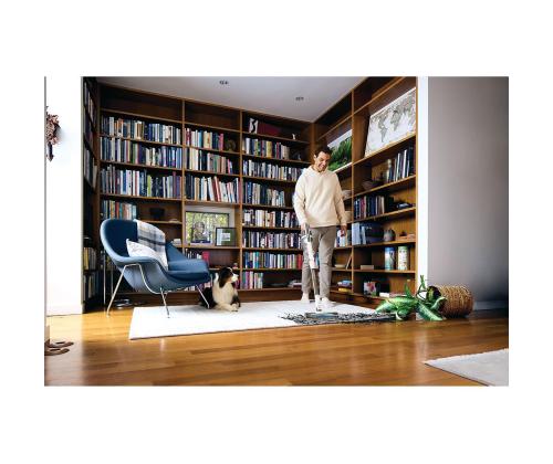 Shark PowerPro Pet, harmaa/valkoinen - Shark pölynimuri - Shark pölynimuri