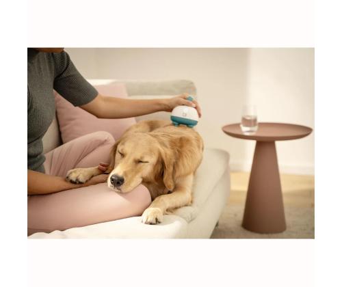 Beurer PP 410 "Buddy", valkoinen/vihreä - Lemmikkihierontalaite