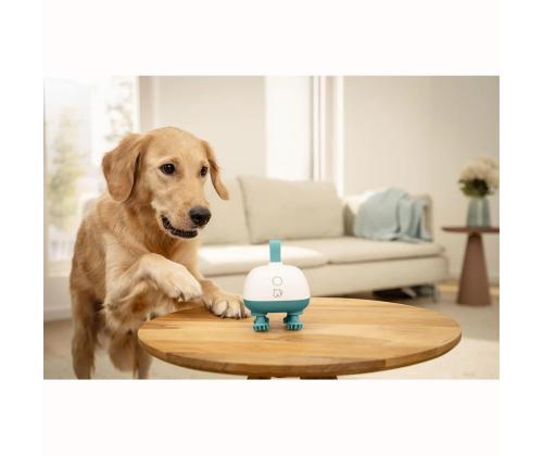 Beurer PP 410 "Buddy", valkoinen/vihreä - Lemmikkihierontalaite