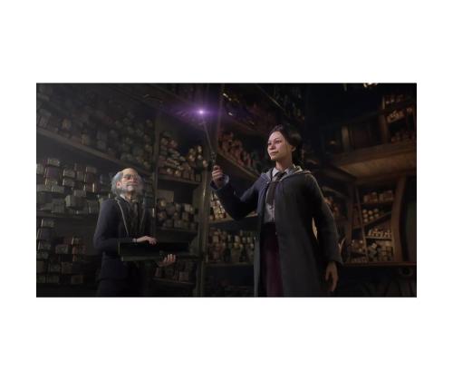 Tylypahkan perintö, Nintendo Switch - Peli