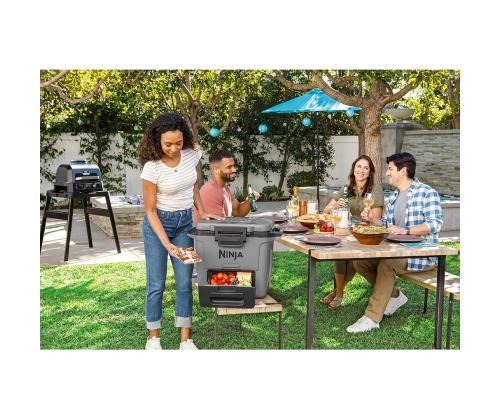 Ninja FrostVault, 28 L, harmaa - Auton tavaratilat