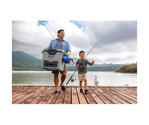 Ninja FrostVault, 28 L, harmaa - Auton tavaratilat