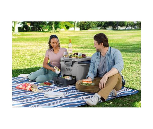 Ninja FrostVault, 28 L, harmaa - Auton tavaratilat