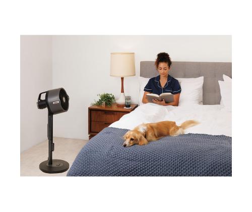 Shark FlexBreeze Pro Mist, harmaa - Kannettava kaasutuuletin