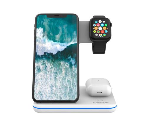 Canyon WS-303, valkoinen - Laadimisdokk