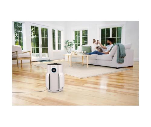 Shark NeverChange5, valkoinen - Ilmanpuhdistin