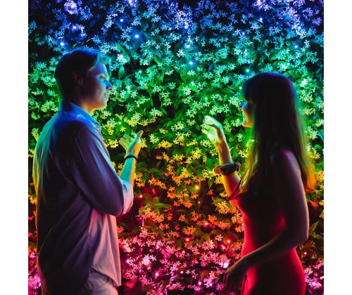 Twinkly Strings, 250 LED, 20 m, IP44 - Älykkäät jouluvalot