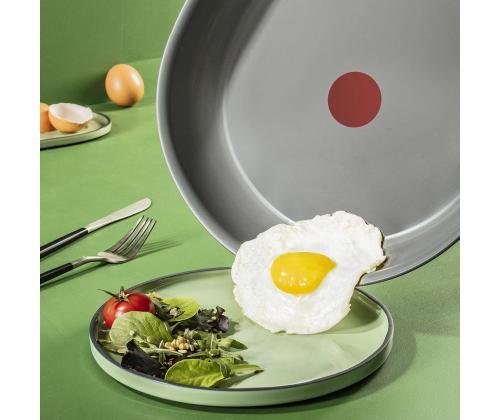 Tefal Renewal, 24 cm, harmaa - Paistinpannu