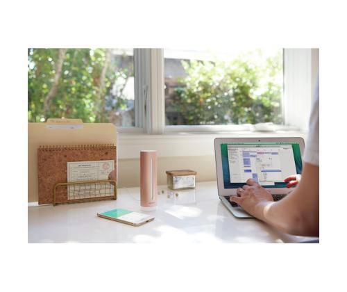 Netatmo Smart Indoor Air Quality Monitor, ruusukulta - Älykäs sisäilman laatumittari