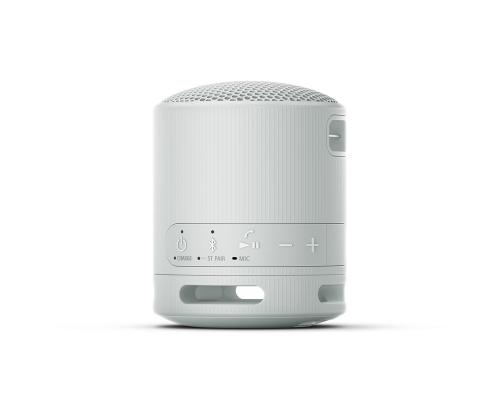 Sony SRS-XB100, vaaleanharmaa - Kannettava langaton kaiutin